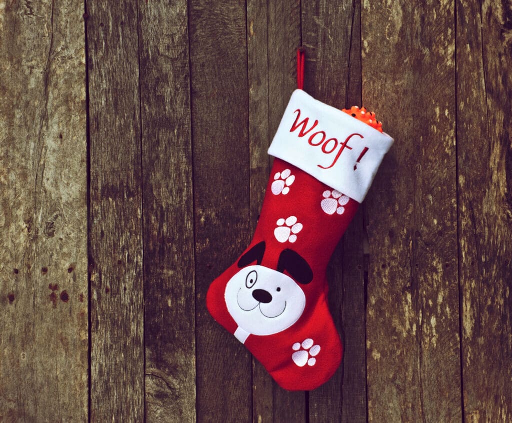 Dog stocking